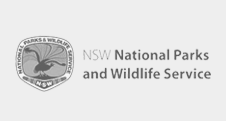 Drone Services in Australia